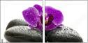 49566180