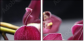 49633319