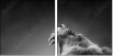 49654340
