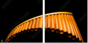50197019