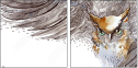 50509602