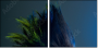 50564432