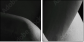 51083503