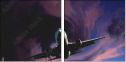 51192902