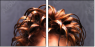 51430961