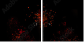 51579789