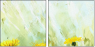 51719241
