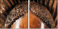 52004103