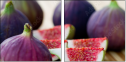 52014179