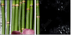 52100193