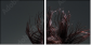 52116617