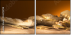 52670728