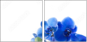 52702119