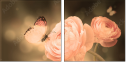 52744741