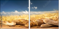 52793015