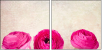 52805750