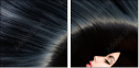 52931906