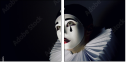53058235