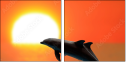 53692721