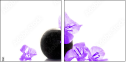 54154961