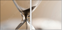 54170925