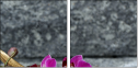 54405316