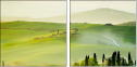 54529677