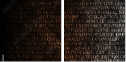 54969981