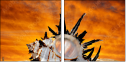 55164339