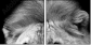 55206469