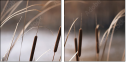 55661015