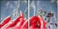 55751143