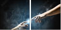 55886651