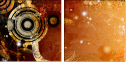 5648461