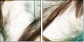 56562123