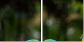 56795972