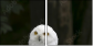 57060206
