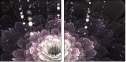 57185040