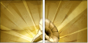 57686954
