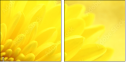 57915870
