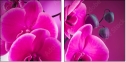 58002130