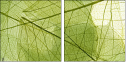 58647115