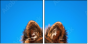58783058