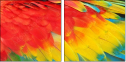 59019361