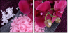 59389806