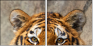 59798134