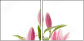 59901573