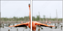 59910019