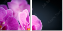 59923716