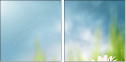 60450374